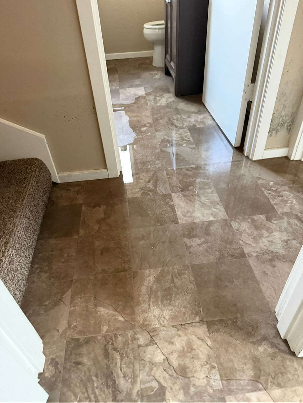 Top water damage clean up Anacortes, WA