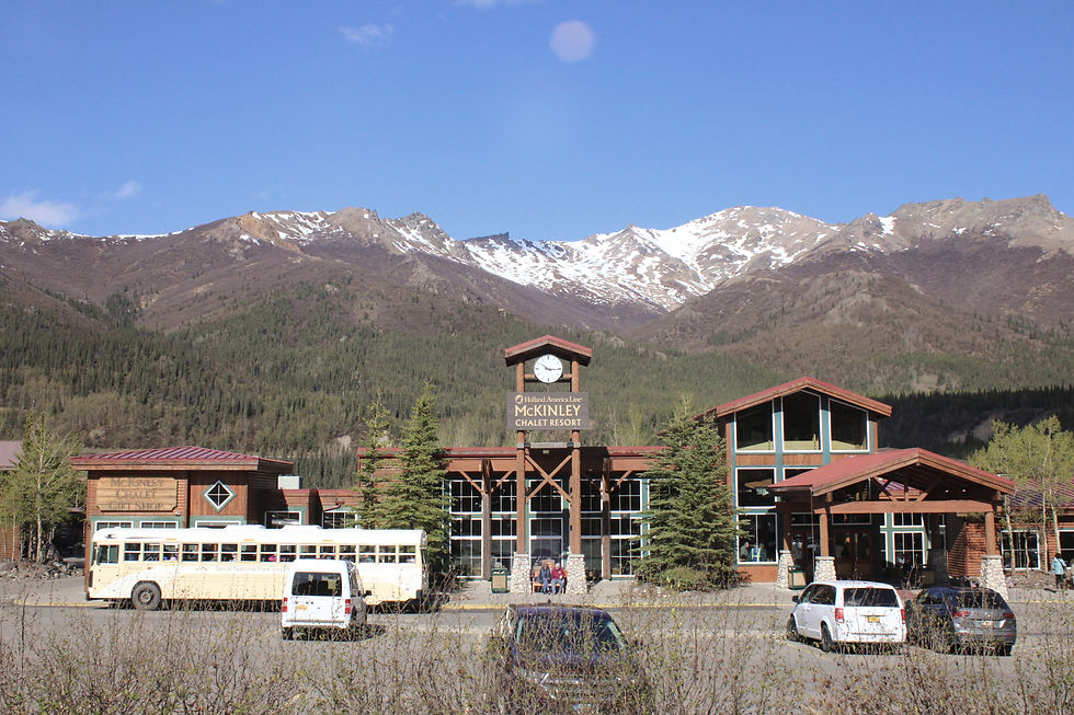 McKinley Chalet Resort (didn't stay here but I just thought it looked pretty)