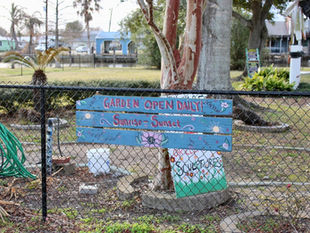 Hidden Gems in Cocodrie, Louisiana