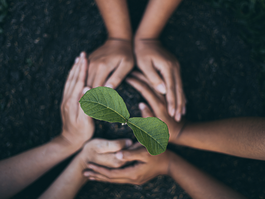 A young plant emerges from the soil, surrounded by nurturing hands symbolizing collective care and environmental stewardship.