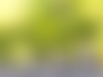 Growing investments: Trees flourishing atop increasing stacks of coins symbolize the concept of financial growth and success.