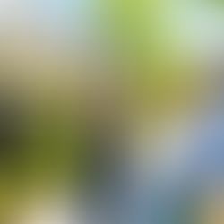 A real estate agent from The Prosperity Group enthusiastically shows a couple a beautiful home for sale in a serene neighborhood.