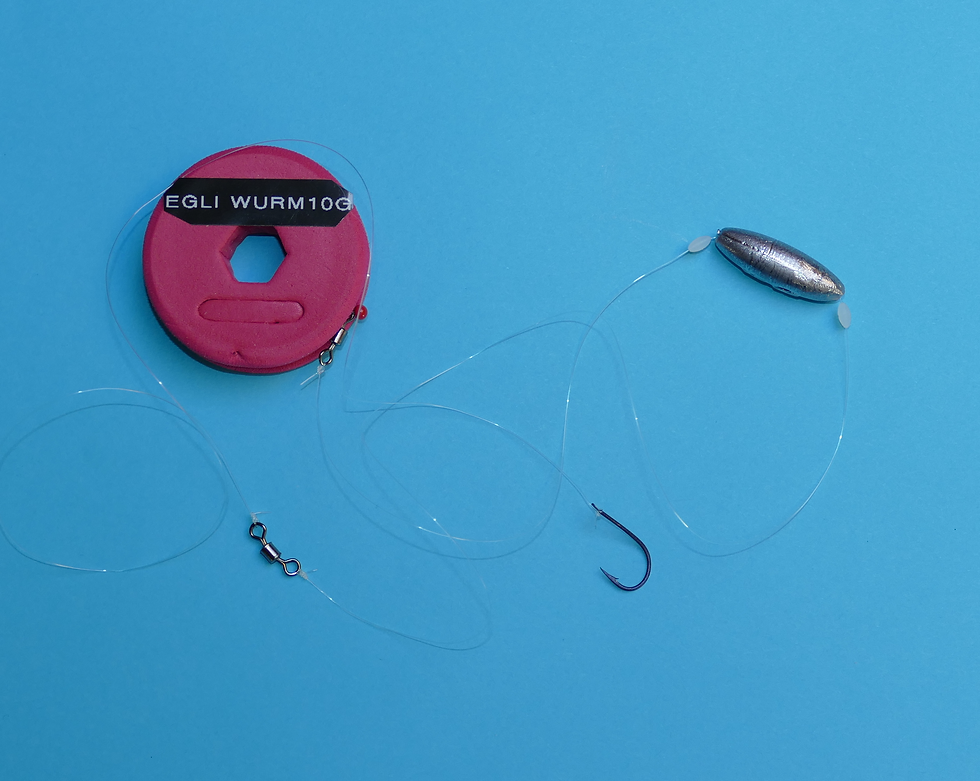 EGLI MONTAGE WURM MIT LAUFBLEI