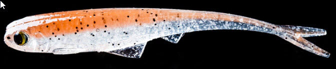 FANATICS WATER SNIPER 70mm - GUMMIKÖDER