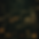 imgi_2_b72f9b1bd_generated_image.png
