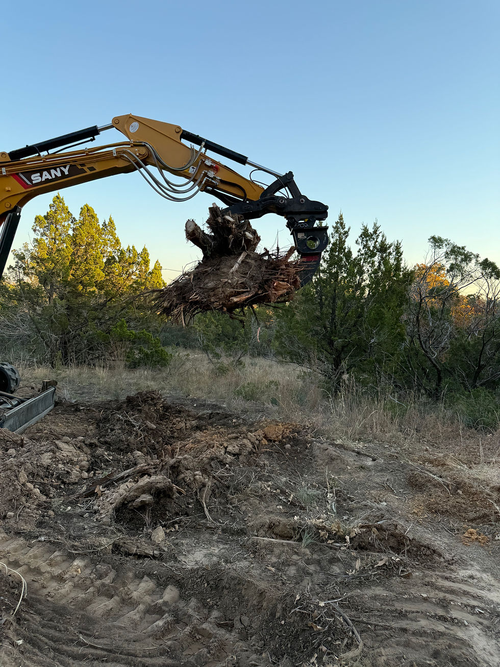 Land Management & Wildlife Conservation in Abilene, TX