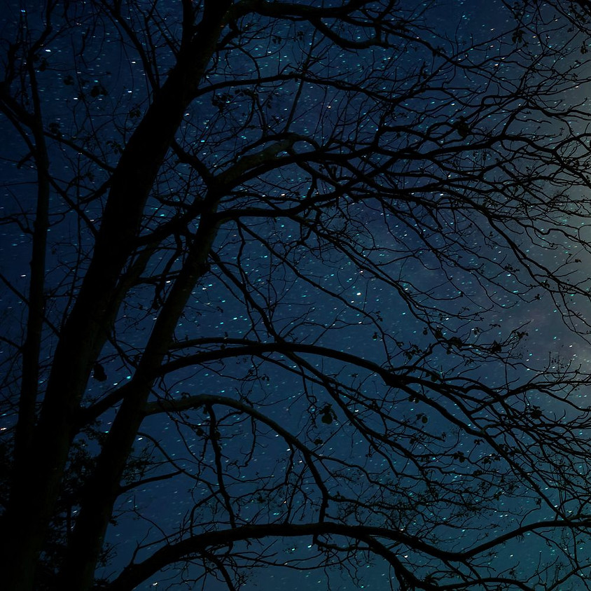 Full Moon Meditation & Sharing Circle