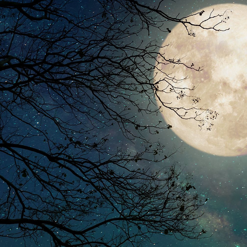 Full Moon Meditation & Sharing Circle