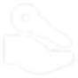 rental_program.png