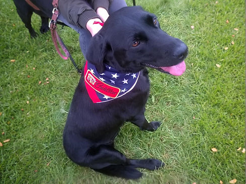 WhatsApp Image 2025-08-08 at 19_edited_edited.jpg