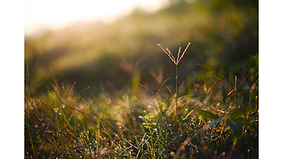 Copy of SOMEWHERE - INTRO.png