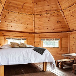 Fox glove indoors_edited.jpg