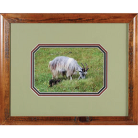 Scandinavian Goats I