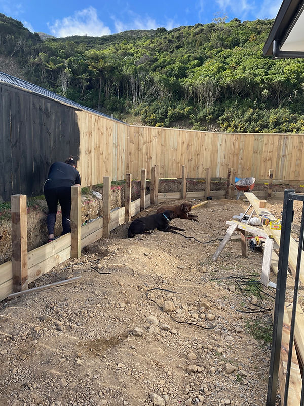 Fence and retaining wall.jpg