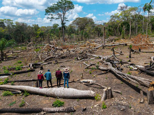 Radiografía de una Amazonía indígena boliviana bajo asedio