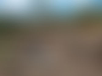Radiografía de una Amazonía indígena boliviana bajo asedio
