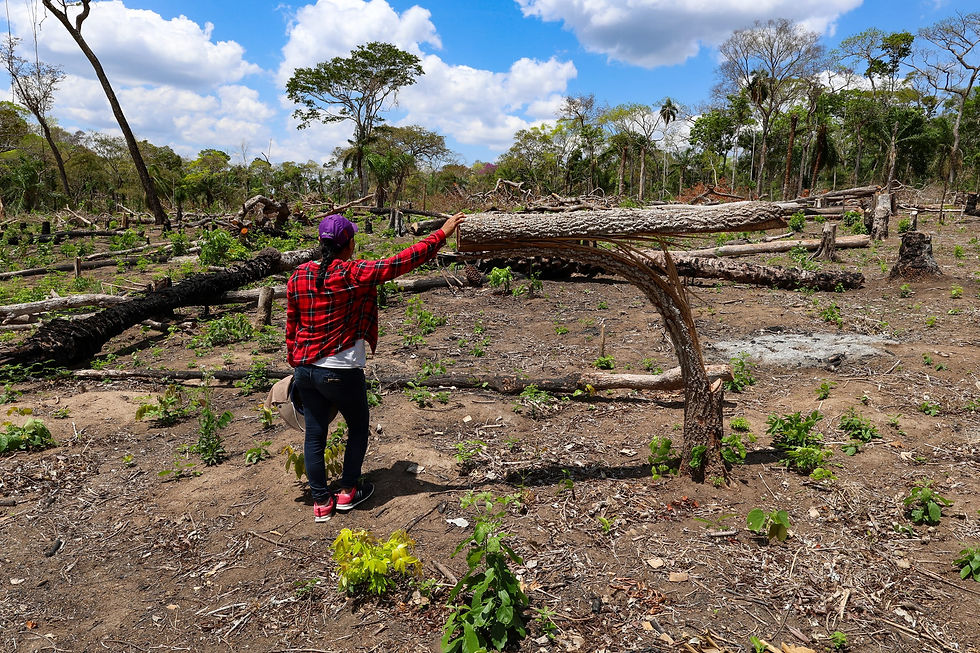 Isabel Surubí es la vicepresidente de la comunidad Los Ángeles, que en 2025 registró un avasallamiento de tierras y tala de sus bosques | Foto: Edy Yobany Velasco Alanes.