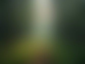 Rituels Écologiques: Connection et Épanouissement Spirituel