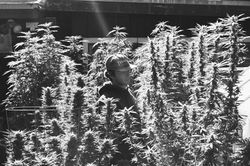 76882659-62FB-499C-8A1E-DF2B54829DD7_1_201_a_edited