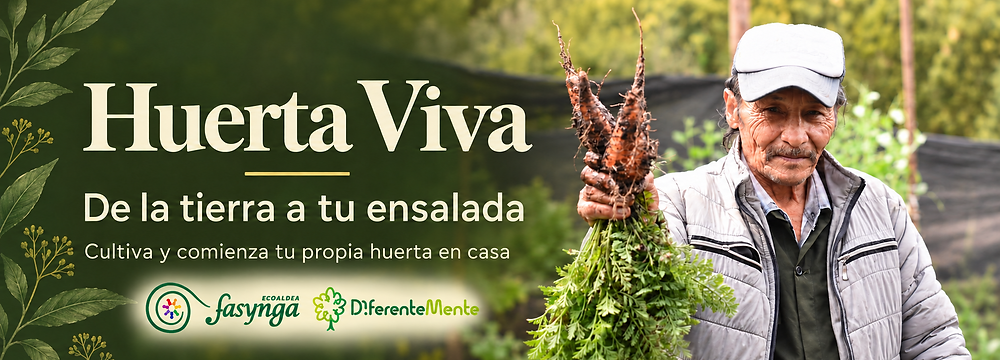 BANNER EXPERIENCIA ALQUIMIA DEL SUELO