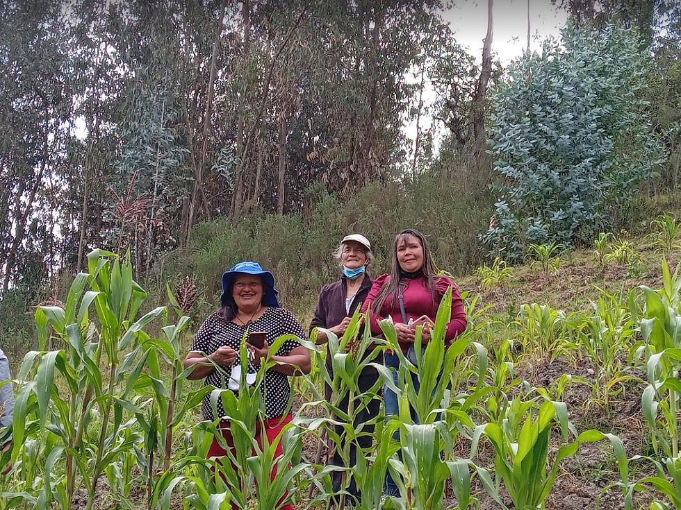 Valorar los campesinos que transitan hacia la agroecología