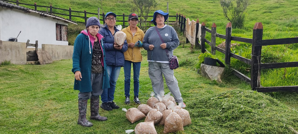 Proyecto Agrícola Integral con Enfoque Regenerativo