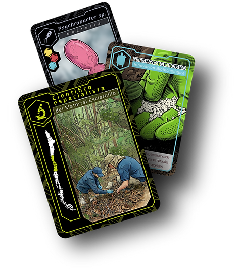 Cartas 2.png