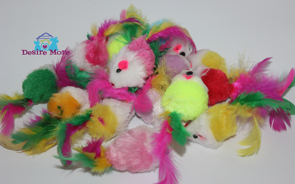 Thumbnail: Toy Selection - Mice, Crinkle balls, Plastic/Rubber balls, Springs & Pom Poms