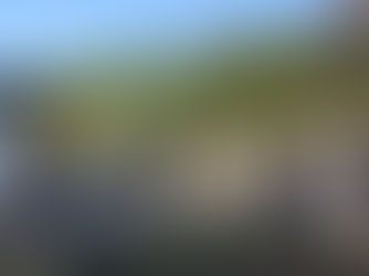 Saiba como foi o II Festival da Primavera – SMFocolari