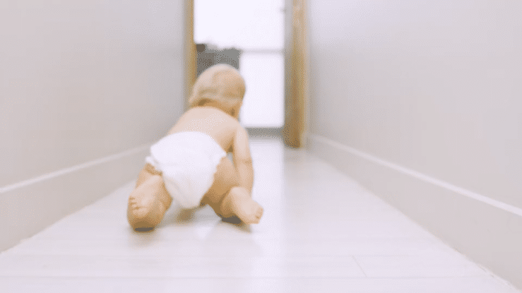 Orchestra v1-high.gif