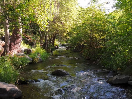 Oak creek running through Sedona