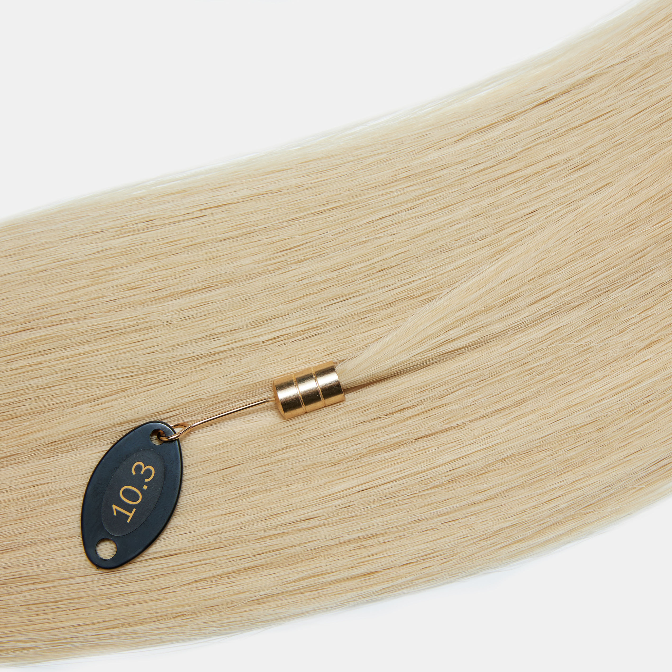 Ponytail In Light Golden Blonde 10.3