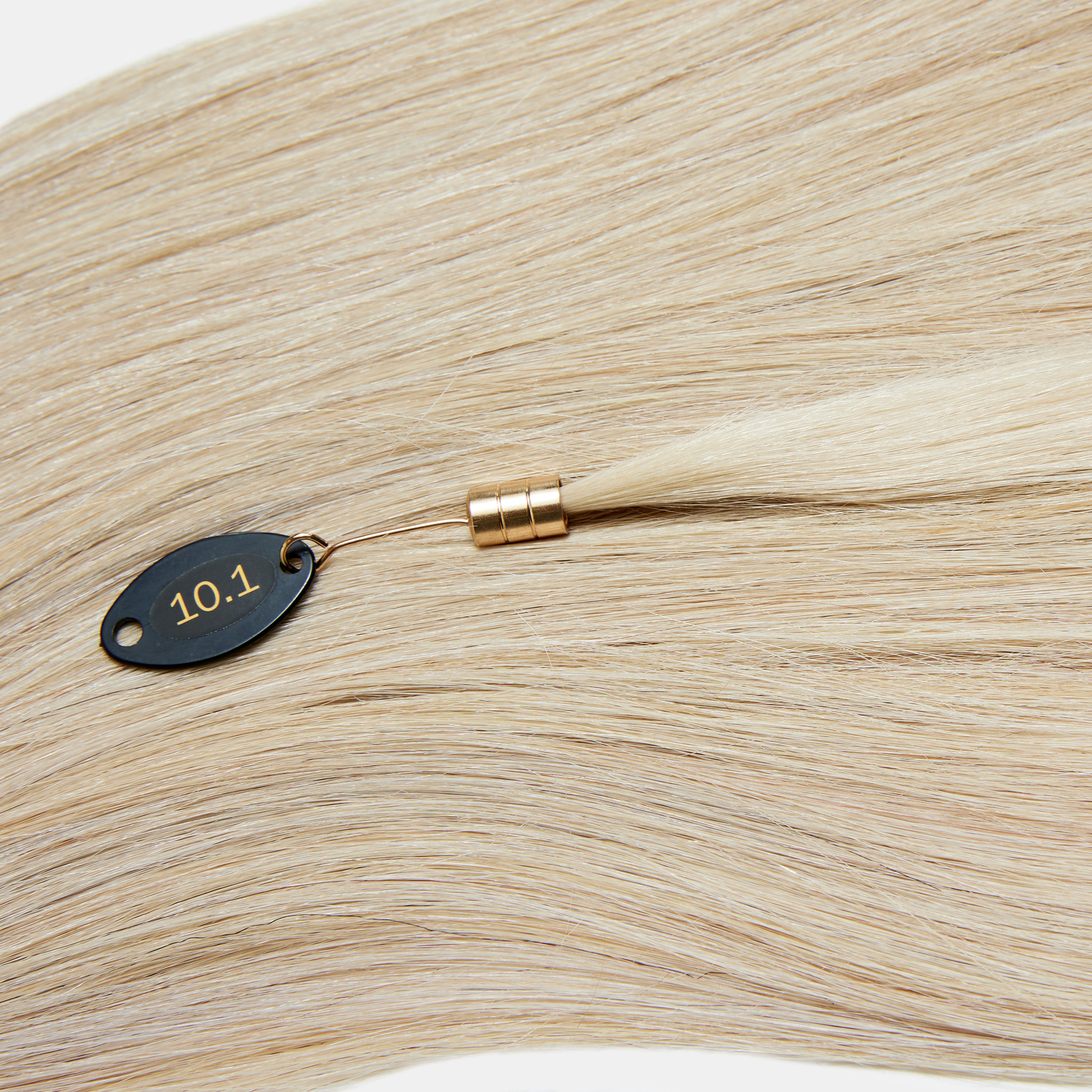 Ponytail In Light Ash Blonde 10.1