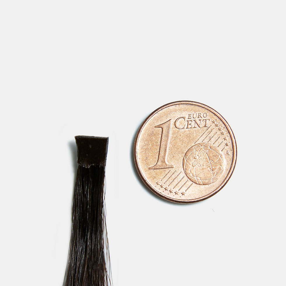 Miniaturbild: Dark Brown 2.0