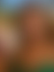 Un brindisi all'apertura del sito!