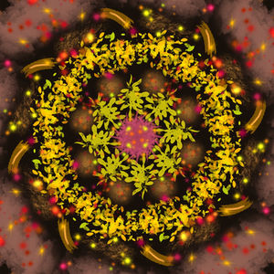 Mandalas numériques