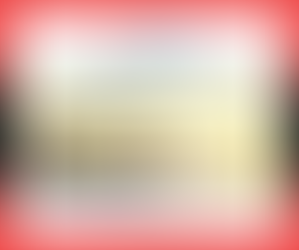 The Journey of Coaching