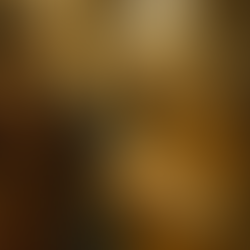 Does the Bible Permit Polygamy? A Biblical Refutation of a Modern Misreading