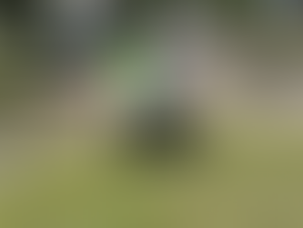 2022 Springfield Ohio Urban Plant-folk Annual Porch Garden Bag community giveaway