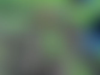 2022 GEO garden late spring early summer harvest