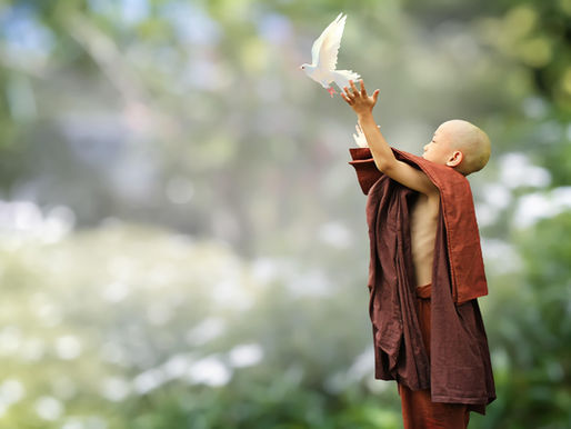 A young budhist monk