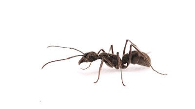 What the heck was that? Do I have lice?
