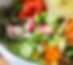 Tossed Salad