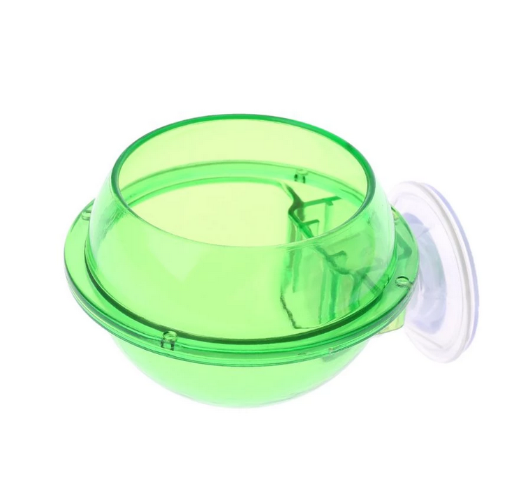 Feeding Bowl Grün
