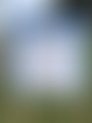 夢の島公園内 各施設へのアクセスについて