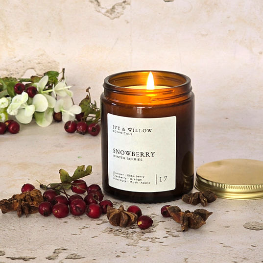 Snowberry Winter Berries