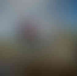 Credit: Kevin Hogarth Photography