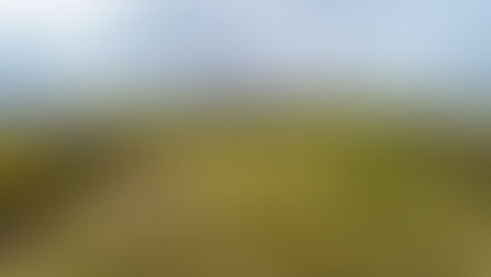 Pressemeldung: Bisons legen an indigener Stätte in Saskatchewan archäologischen Fund frei