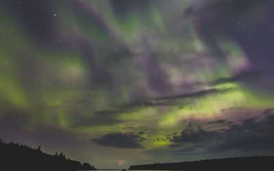 Credit: Clear Lake Country