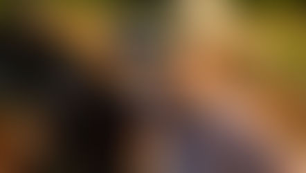 Sattelfest in Saskatchewan: Vom stressgeplagten Urlauber zum gelassenen Cowboy auf Zeit